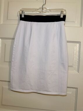 White Pencil Skirt with Modern Mesh Overlay & Black Waistband - Women's Skirt